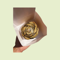 Cardamon knot bun